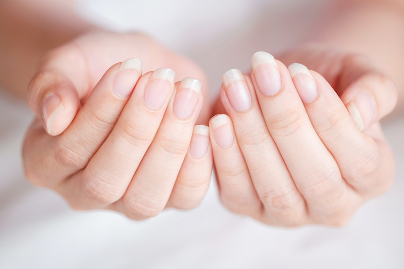 A Complete Guide to Maintaining Healthy and Hygienic Nails Free Bunni
