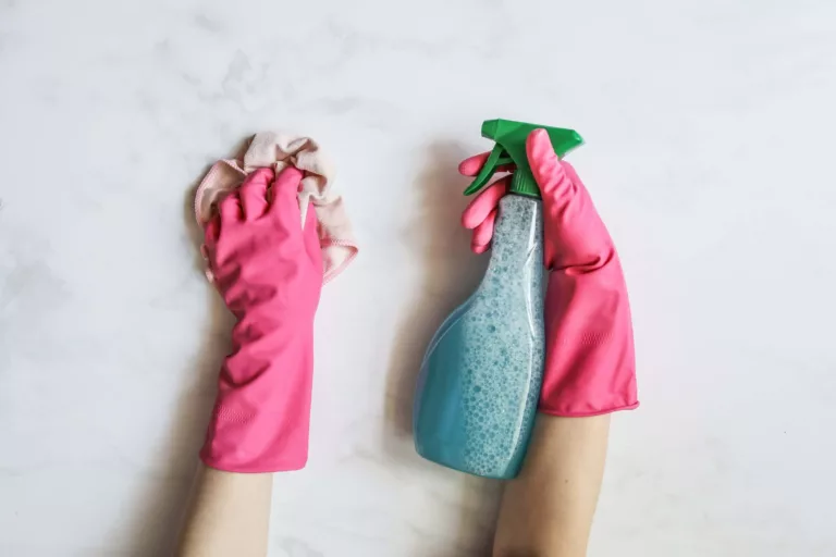 cleaning product, gloves