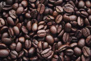 coffee bean, ingredient