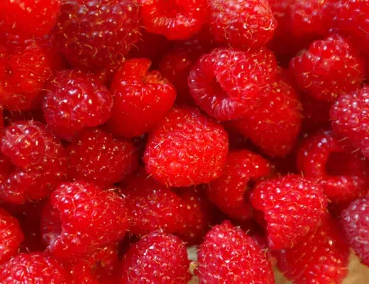 Raspberry, fruits
