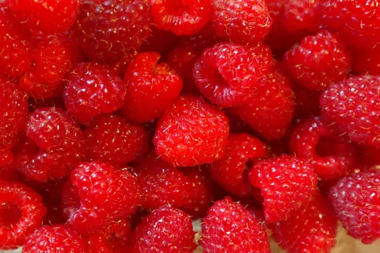 Raspberry, fruits