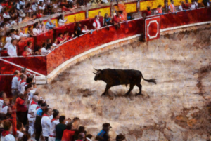 bullfight, bull