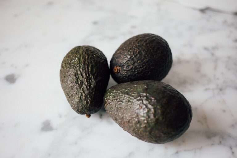 avocado, ingredient