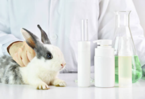 lab, bunny