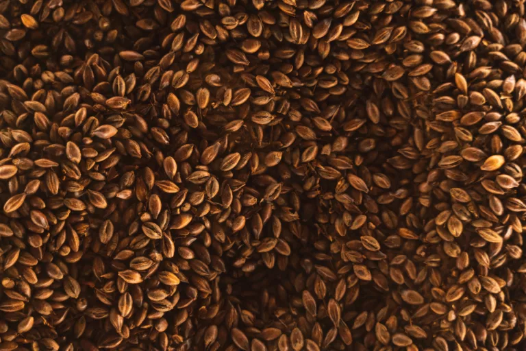 Flaxseed, hair care