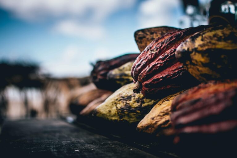 Cacao Butter, Cacao