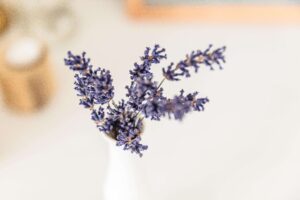 lavender, essential oil