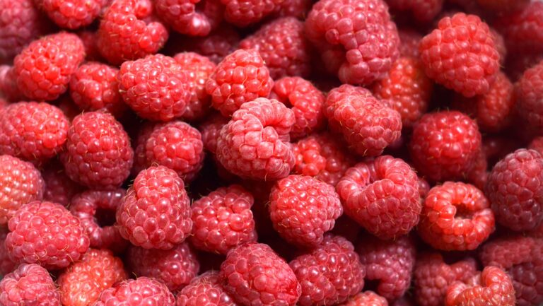 Red Raspberry, fruit