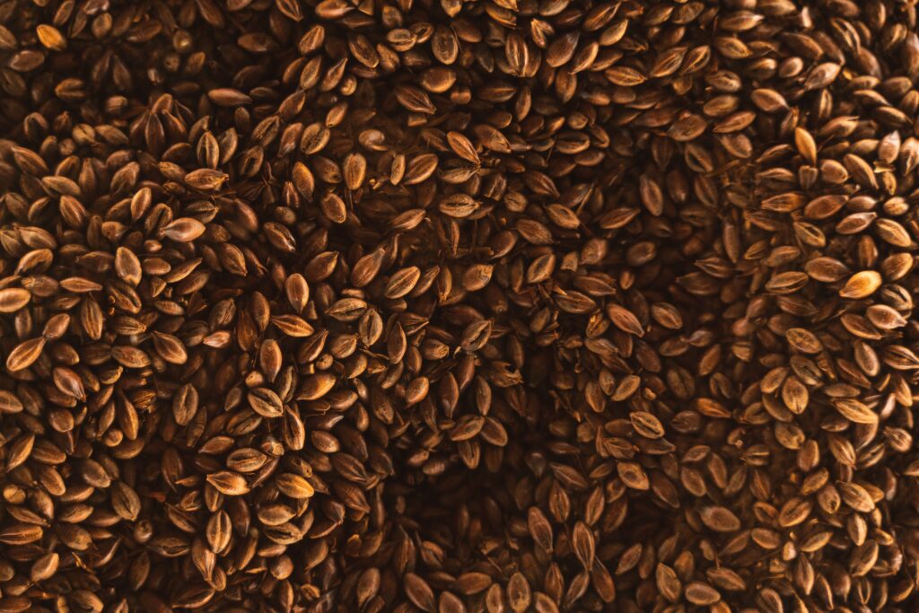Flaxseed, seed