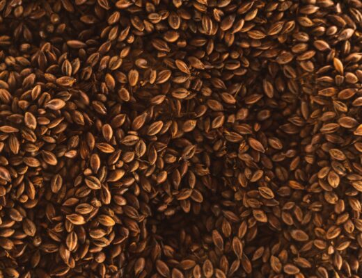 Flaxseed, seed
