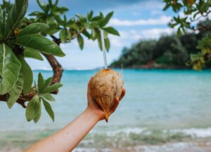 Coconut water, coconut