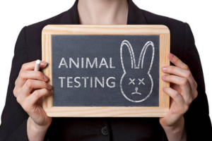 bunni, animal testing