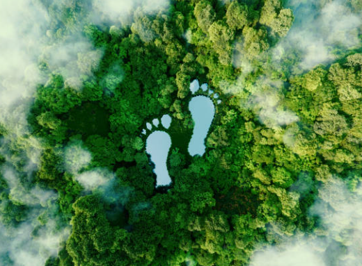 footprint, nature