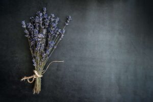 Lavender, herbal