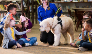 Therapy Dog, dog