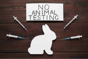 animal testing, bunny