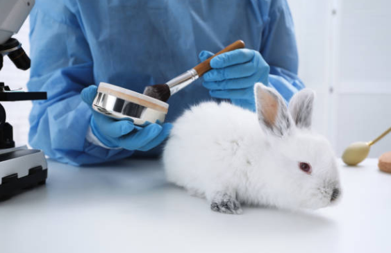The Ethics of Animal Testing: Necessary Evil or Outdated Practice ...