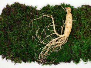 Ginseng, food