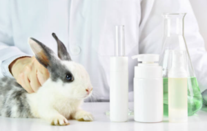animal testing, rabbit