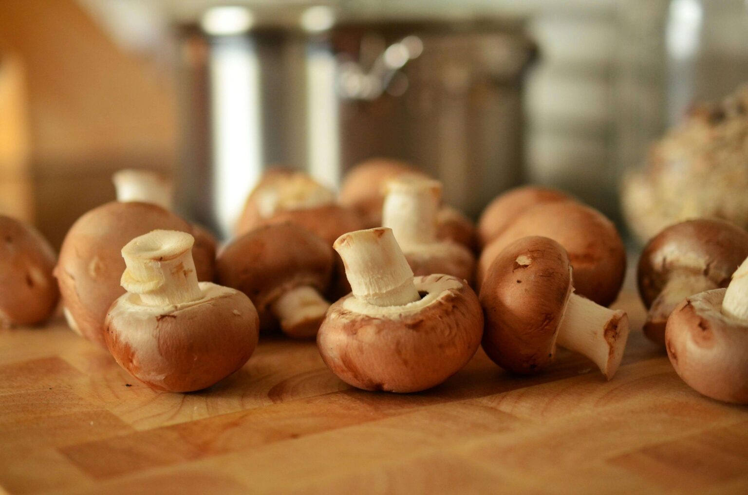 Mushroom, ingredients