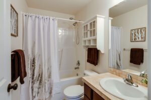 Shower Curtain, Bathroom